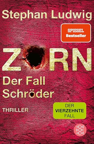 Zorn – Der Fall Schröder: Thriller