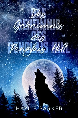 Das Geheimnis des Penglais Hill (Penglais Love 1)