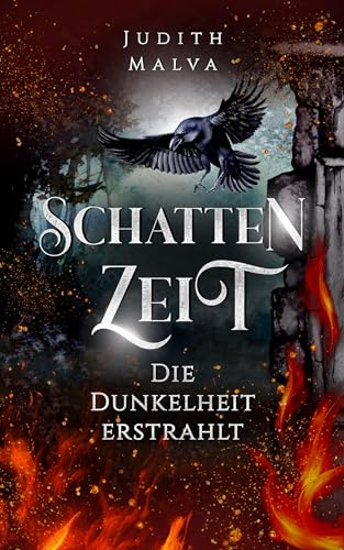 Schattenzeit - Die Dunkelheit erstrahlt (Schattenzeit Dilogie 2)
