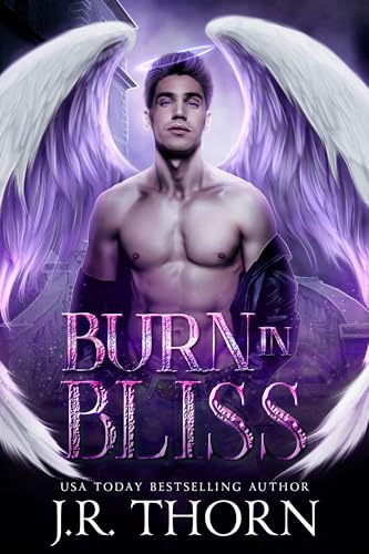 Burn in Bliss (Fortune Academy Underworld Book 6)