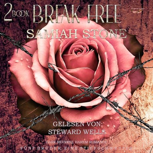 Break Free: 5 Brüder, 1 Stiefschwester: Devil, Book 2