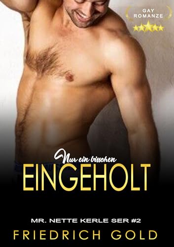 Nur ein bisschen Eingeholt: Eine heiße schwule Romanze (Mr. Nette Kerle 2)