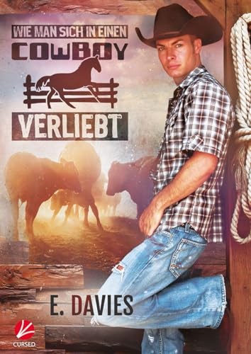 Wie man sich in einen Cowboy verliebt (Significant Brothers 6)