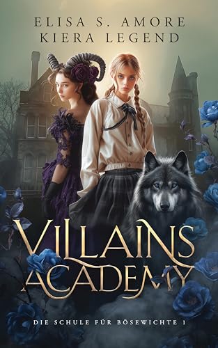 Villains Academy (Die Akademie der Götter 13)
