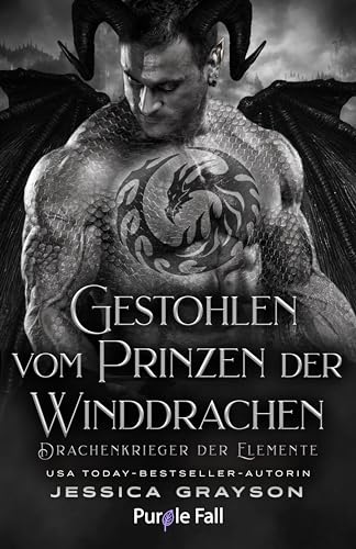 Gestohlen vom Prinzen der Winddrachen: Drachenkrieger der Elemente