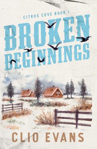 Broken Beginnings: A High Heat Small Town Romance Suspense (Citrus Cove, Band 1)