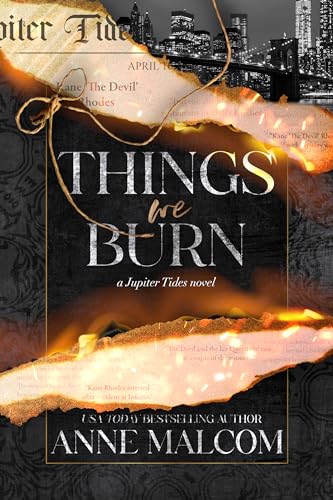 Things We Burn: A Small Town Sports Romance (Jupiter Tides)