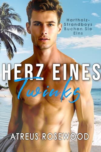 Herz eines Twinks: Schwule zeitgenössische bisexuelle Strandromantik (Hartholz-Strandboys 1)