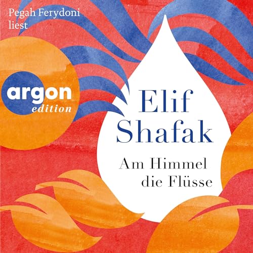 Am Himmel die Flüsse: Roman
