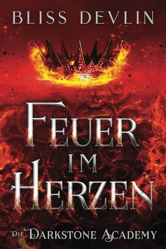 Feuer im Herzen (Die Darkstone Academy, Band 2)