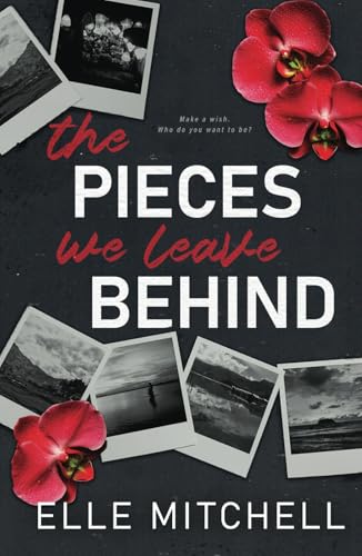 The Pieces We Leave Behind (Lost Hollow, Band 1)