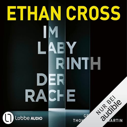 Im Labyrinth der Rache: Ein Ackerman-Thriller. Die HÜTER-Reihe 1