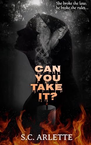 Can You Take It? A Dark Enemies-to-Lovers Romance