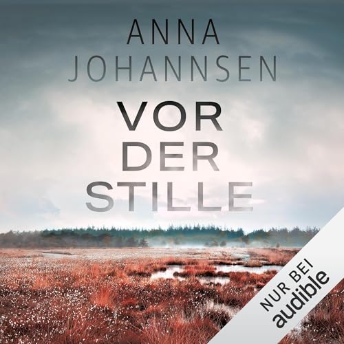 Vor der Stille: Ein Fall für Hanna Will & Jan de Bruyn 3