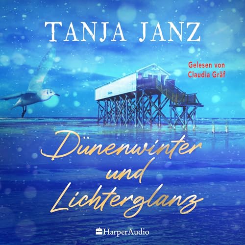 Dünenwinter und Lichterglanz