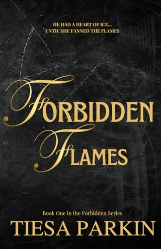 Forbidden Flames: A brother's best friend billionaire romance