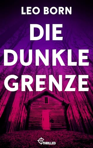 Die dunkle Grenze (Ein Jack-Diehl-Thriller 3)
