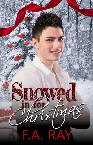 Snowed in for Christmas: An Enemies-to-Lovers Christmas MM Romance