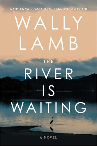The River Is Waiting (Oprah's Book Club): A Novel