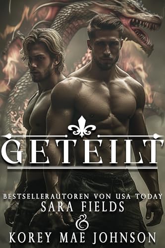 Geteilt: Düstere Drachenwandler-Romanze (Verbundene Gefährten 2)
