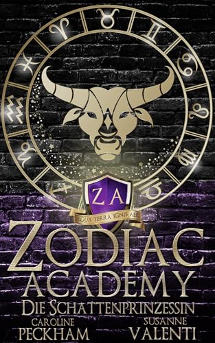 Zodiac Academy 4: Die Schattenprinzessin (Zodiac Academy (Deutsche Ausgabe))