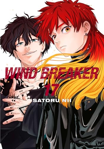 WIND BREAKER Vol. 17