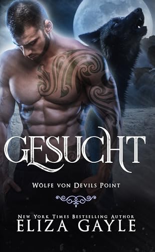 Gesucht: Romanze mit dem Wolfswandler (Wölfe von Devils Point 3)