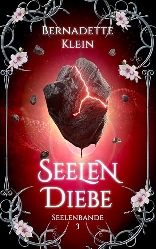 Seelendiebe (Seelenbande 3)