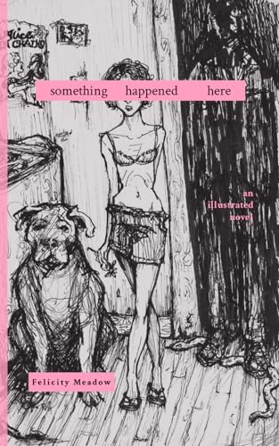 Something Happened Here: an illustrated novel