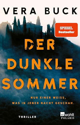 Der dunkle Sommer: Nur einer weiß, was in jener Nacht geschah. | Thriller