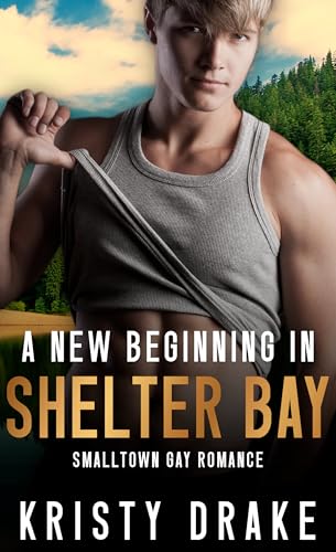 A new Beginning in Shelter Bay: Smalltown Gay Romance