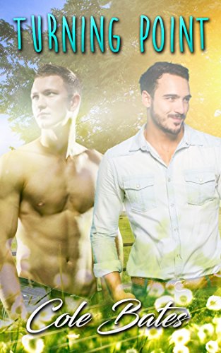 Turning Point: Zweite Chance Schwul MM Romance