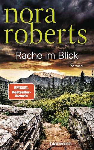 Rache im Blick: Roman