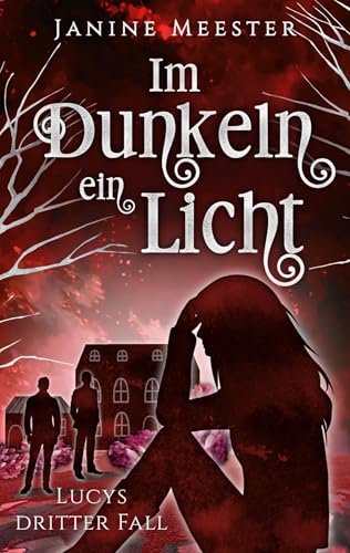 Im Dunkeln ein Licht: Lucys dritter Fall (Lucy Maiwald)