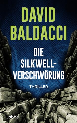 Die Silkwell-Verschwörung: Thriller. Ein Mord an einer CIA-Agentin. Amerikas schmutzigste Geheimnisse. Ein neuer Fall für Travis Devine (Die Travis-Devine-Serie 2)
