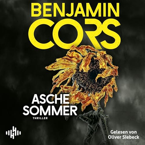 Aschesommer: Gruppe 4 ermittelt, Band 2