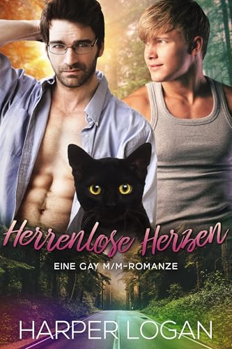 Herrenlose Herzen: Eine Gay M/M-Romanze