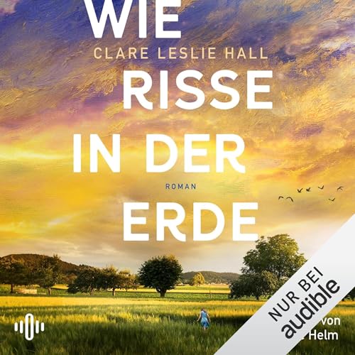 Wie Risse in der Erde