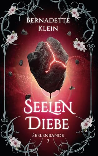Seelendiebe (Seelenbande, Band 3)