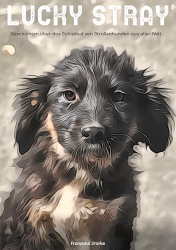 Lucky stray: Geschichten über das Schicksal von Strassenhunden aus aller Welt