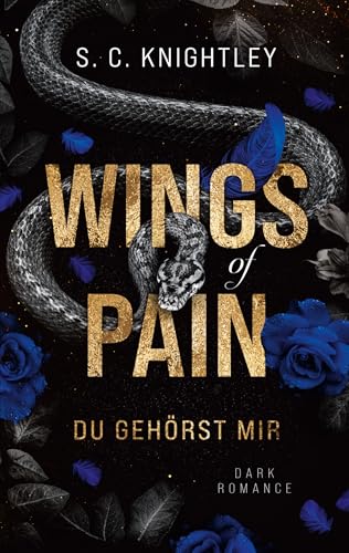 Wings of Pain: Du gehörst mir – Ein Dark-Romance-Roman