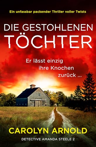 Die gestohlenen Töchter: Ein unfassbar packender Thriller voller Twists (Detective Amanda Steele 2)