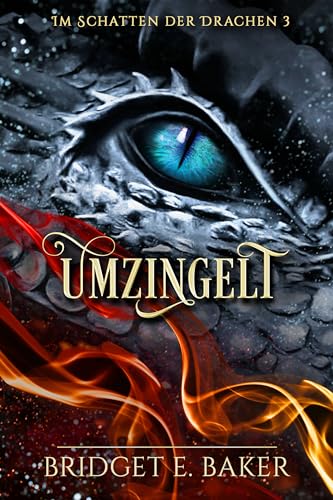 Umzingelt (Im Schatten der Drachen - Band 3)
