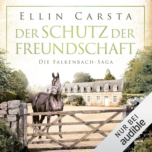 Der Schutz der Freundschaft: Die Falkenbach-Saga - Band 11