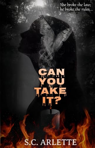 Can You Take It? A Dark Enemies-to-Lovers Romance
