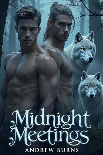 Midnight Meetings (Wild Hearts)