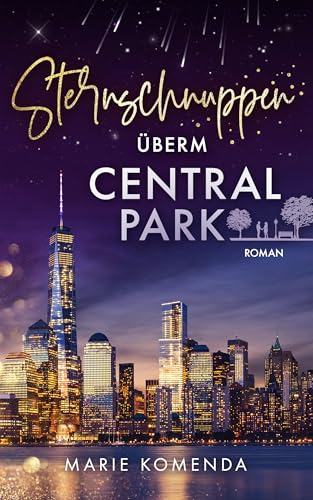 Sternschnuppen überm Central Park