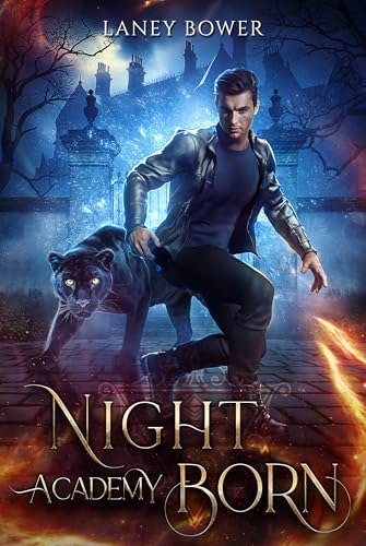 Nightborn Academy - Rivals To Lovers - Spicy Urban Romantasy (Einzelband/deutsch)