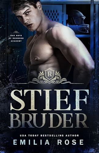 Stiefbruder: Bad Boys der Redwood Akademie, Band 1