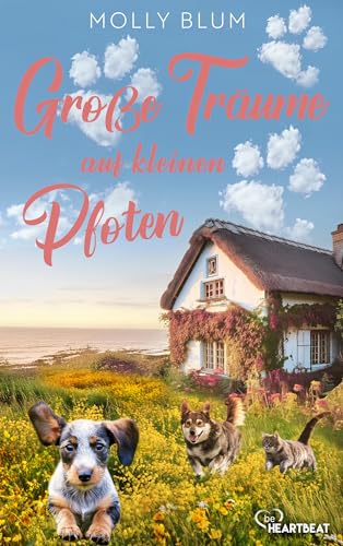 Große Träume auf kleinen Pfoten: Ein wunderschöner Roman über ein kleines Tierheim in Cornwall, in dem Herzen und Hunde ein Zuhause finden.
